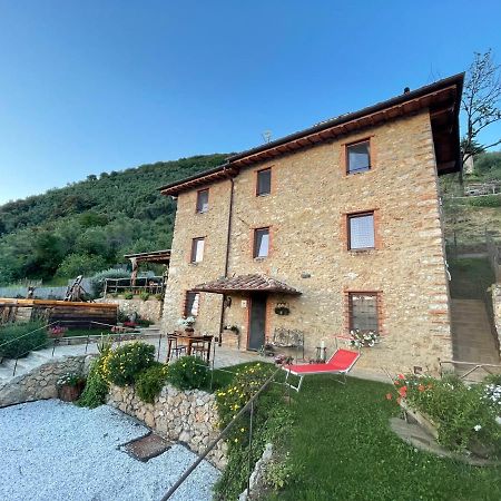 B&B Il Volo Camaiore Eksteriør bilde