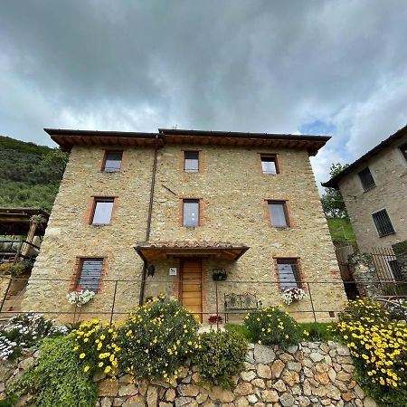 B&B Il Volo Camaiore Eksteriør bilde