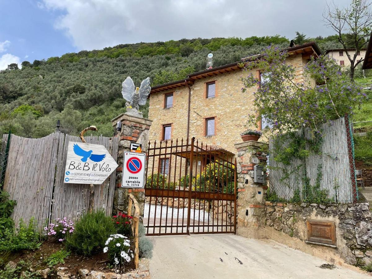 B&B Il Volo Camaiore Eksteriør bilde