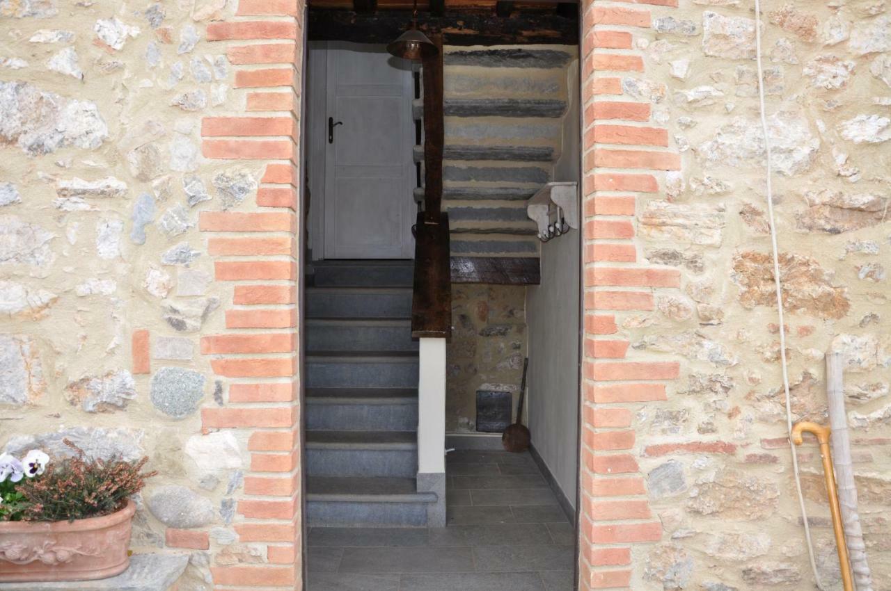 B&B Il Volo Camaiore Eksteriør bilde