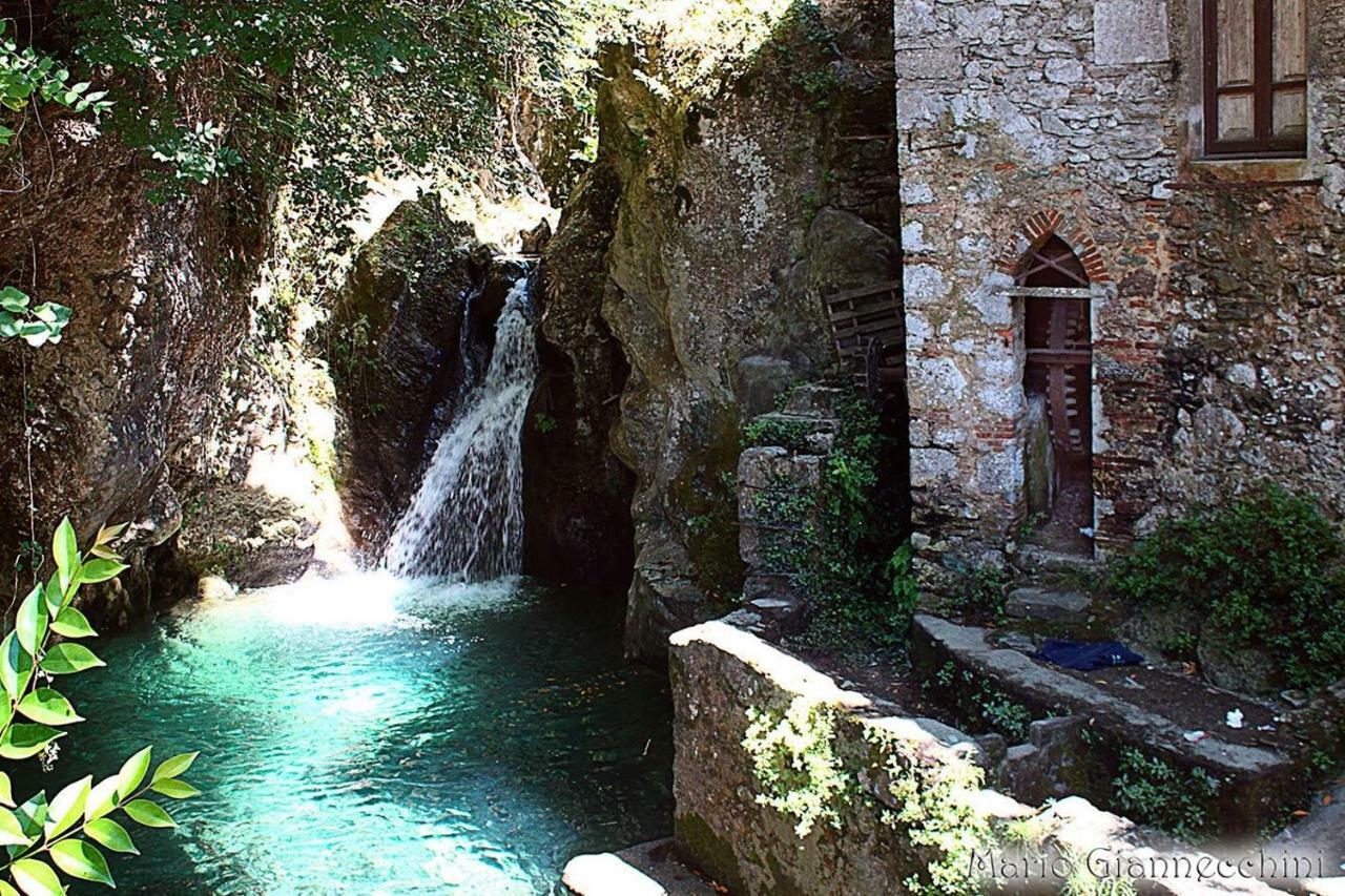 B&B Il Volo Camaiore Eksteriør bilde