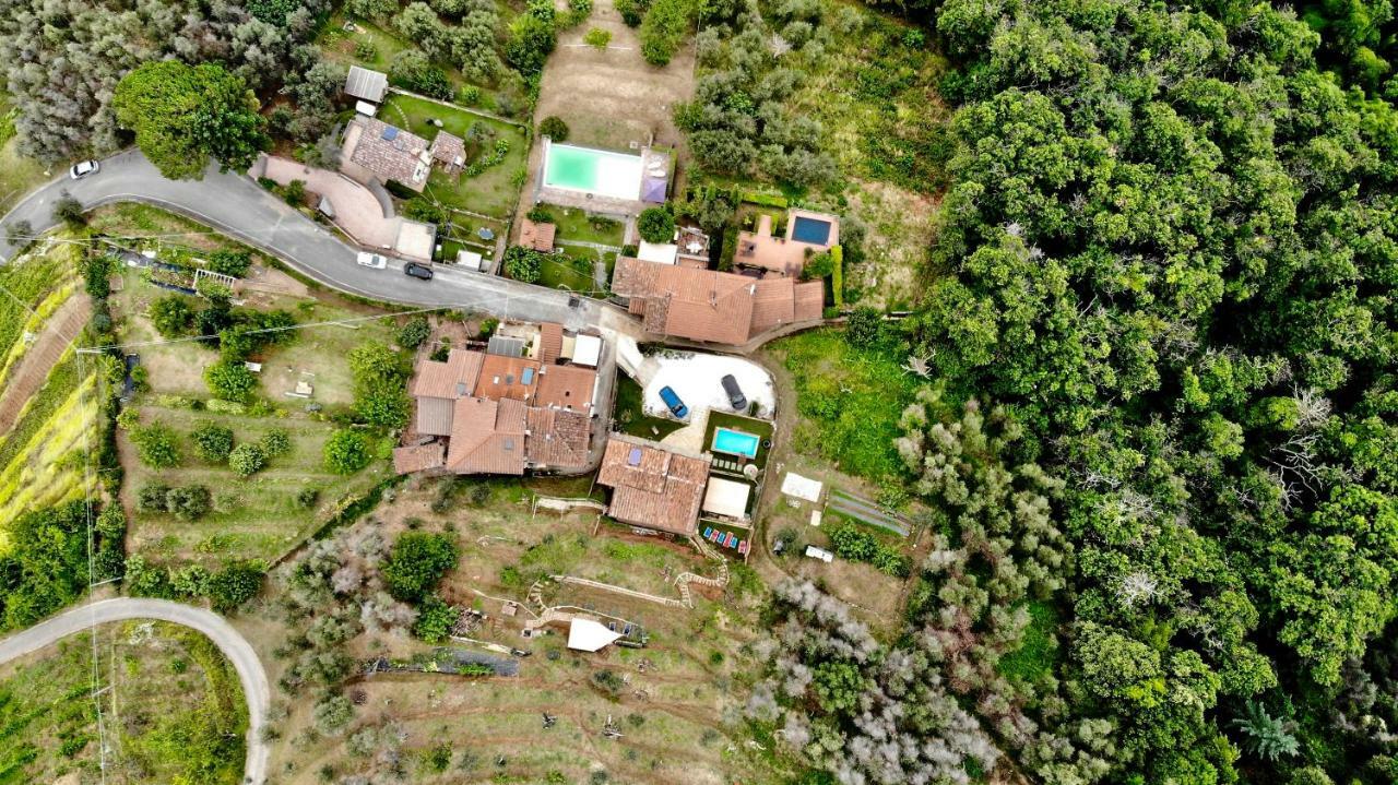 B&B Il Volo Camaiore Eksteriør bilde